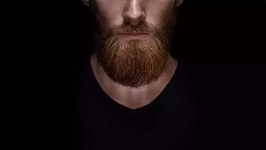 A bearded men with a black background. No Shave November