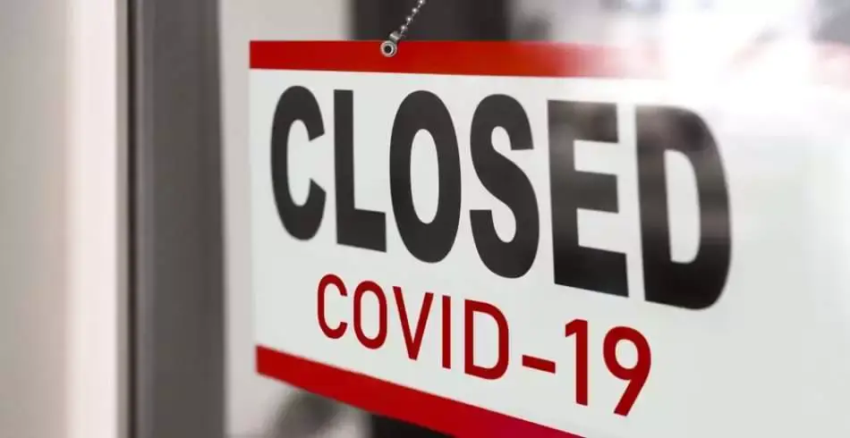 Lockdown Effect: Threatened species of Birds Return Amid Lockdown 9 Covid-19 lockdown