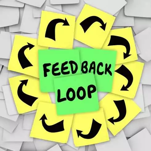 Positive feedback loop examples