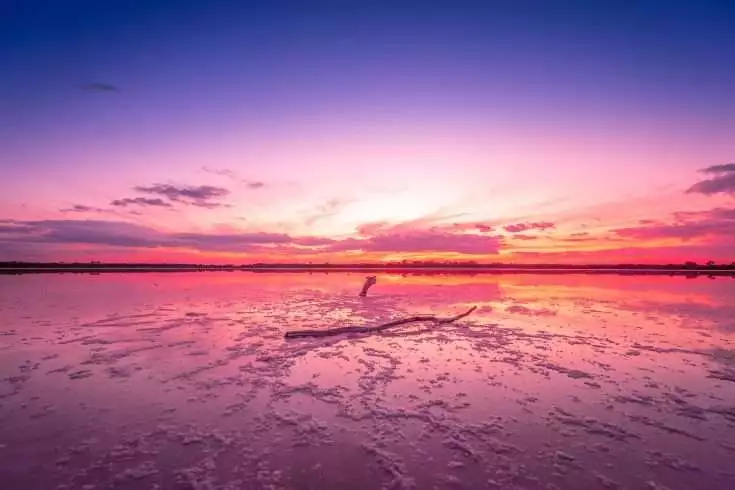 Pink Lake in Australia: Amazing Facts You Need to Know in 2022 8