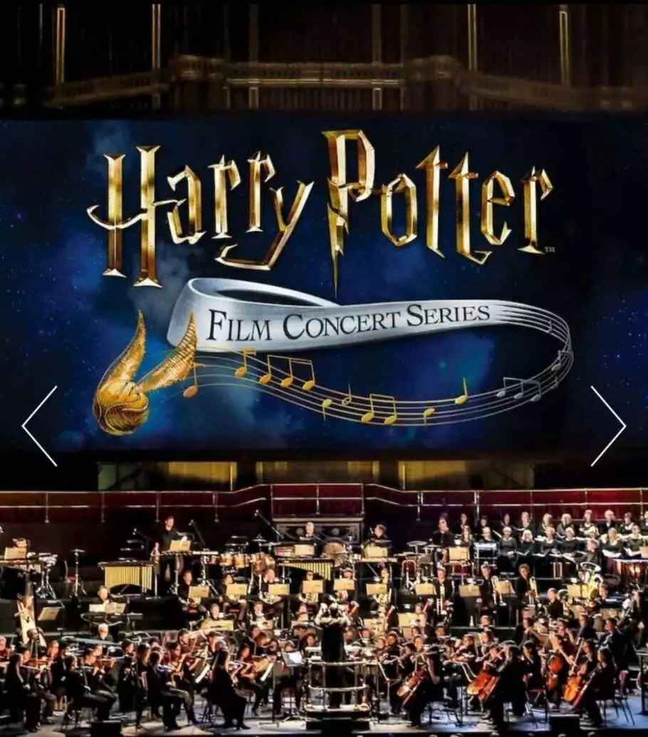 Harry Potter gifts - concert