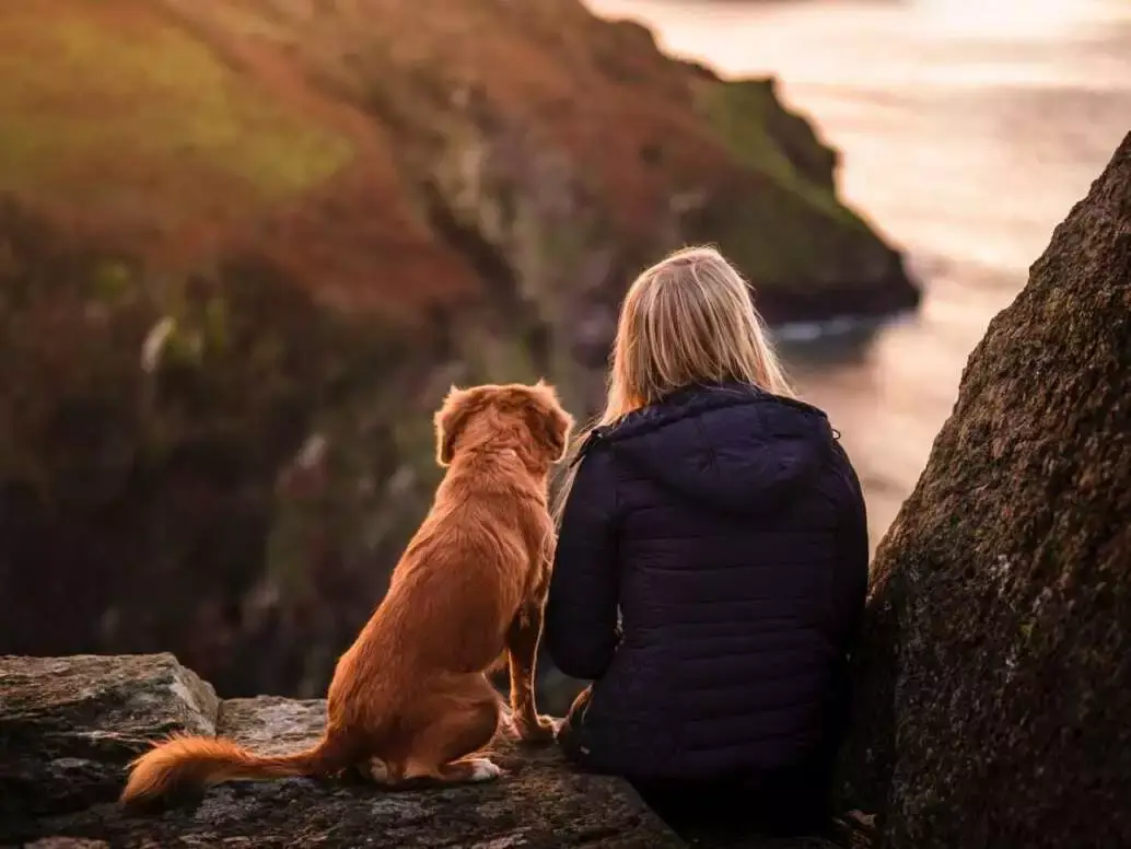 How to Invest in Yourself: 20 Best Ways 11 dog