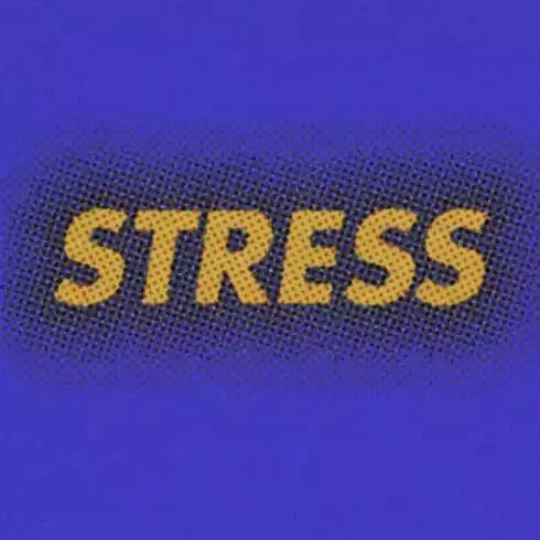 Facts about stress