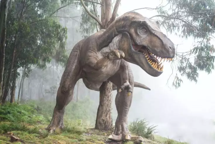 11 Most Popular Different Types Of Dinosaurs 5