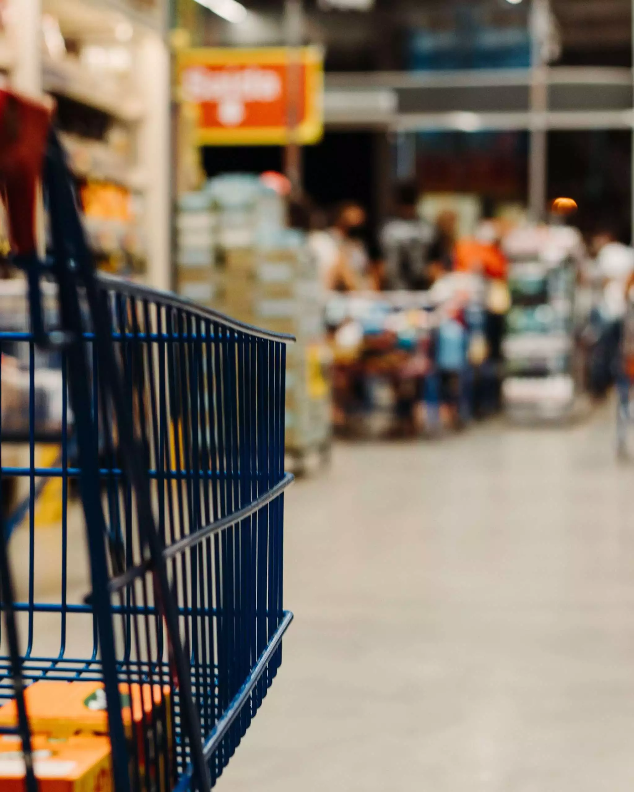 What Can You Buy With Food Stamps: 7 Items to Look Out For 5