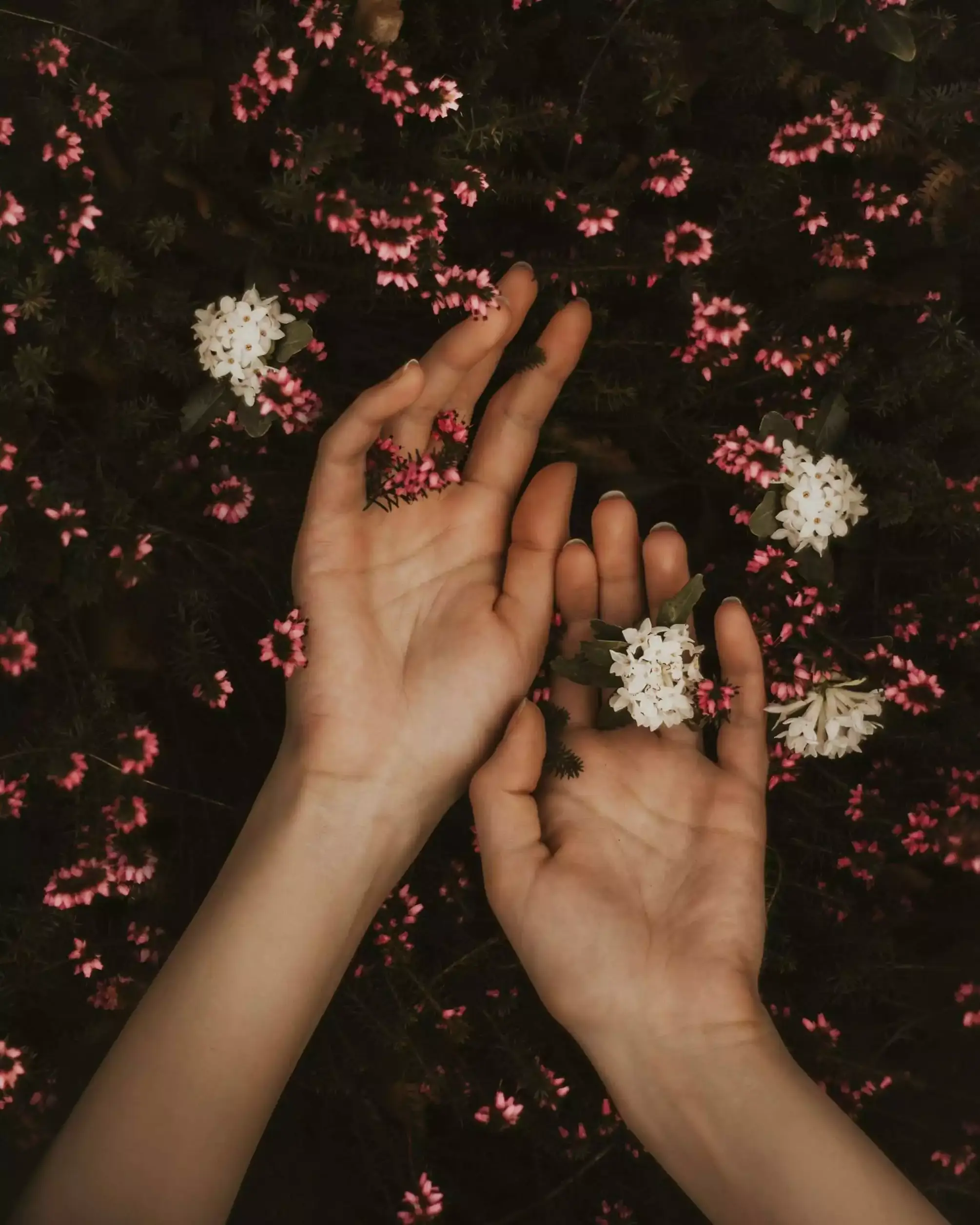 4 Phases in What Happens when A Female Is Sexually Excited 9 https://images.unsplash.com/photo-1523832083691-c772f31be296?ixlib=rb-4.0.3&ixid=MnwxMjA3fDB8MHxwaG90by1wYWdlfHx8fGVufDB8fHx8&auto=format&fit=crop&w=464&q=80