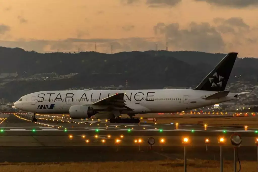 Can I Fly Without a Real ID: 7 Important Documents You Must Have 11 flight