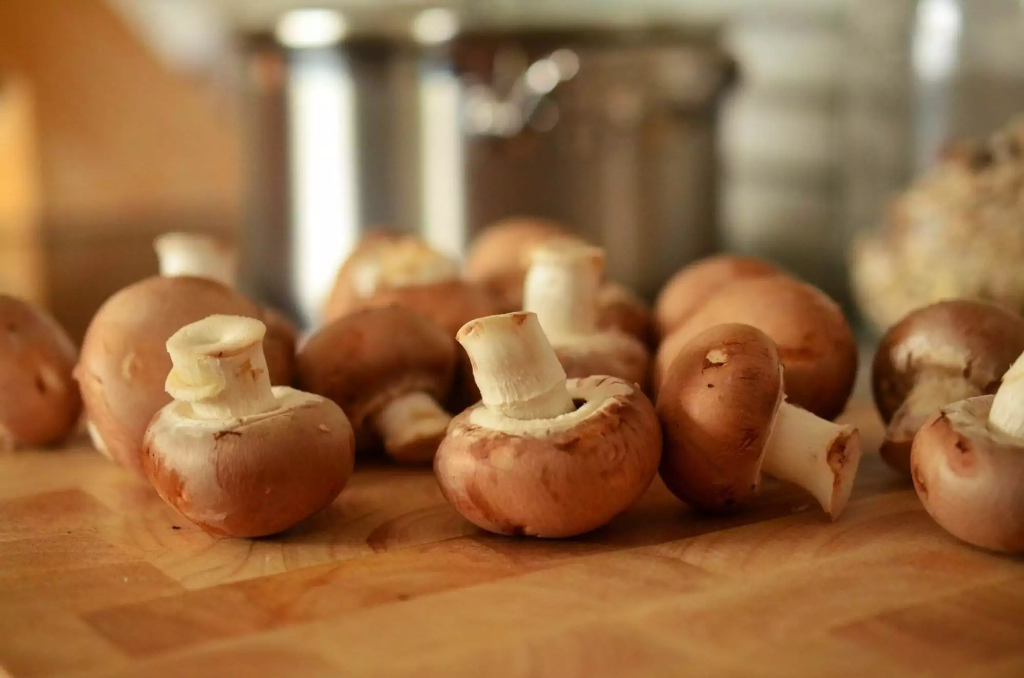 how do mushrooms grow
